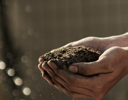 bokeh photography of person carrying soil