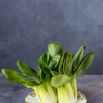 green vegetable on plate