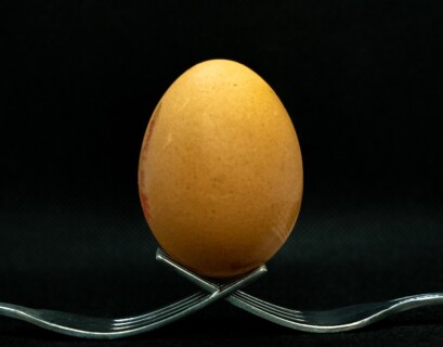 brown egg on stainless steel stand