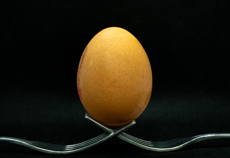 brown egg on stainless steel stand